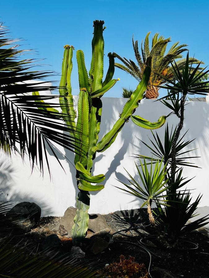 Casa Alizee, Heated Pool, Hot Tub Villa Playa Blanca  Exteriör bild