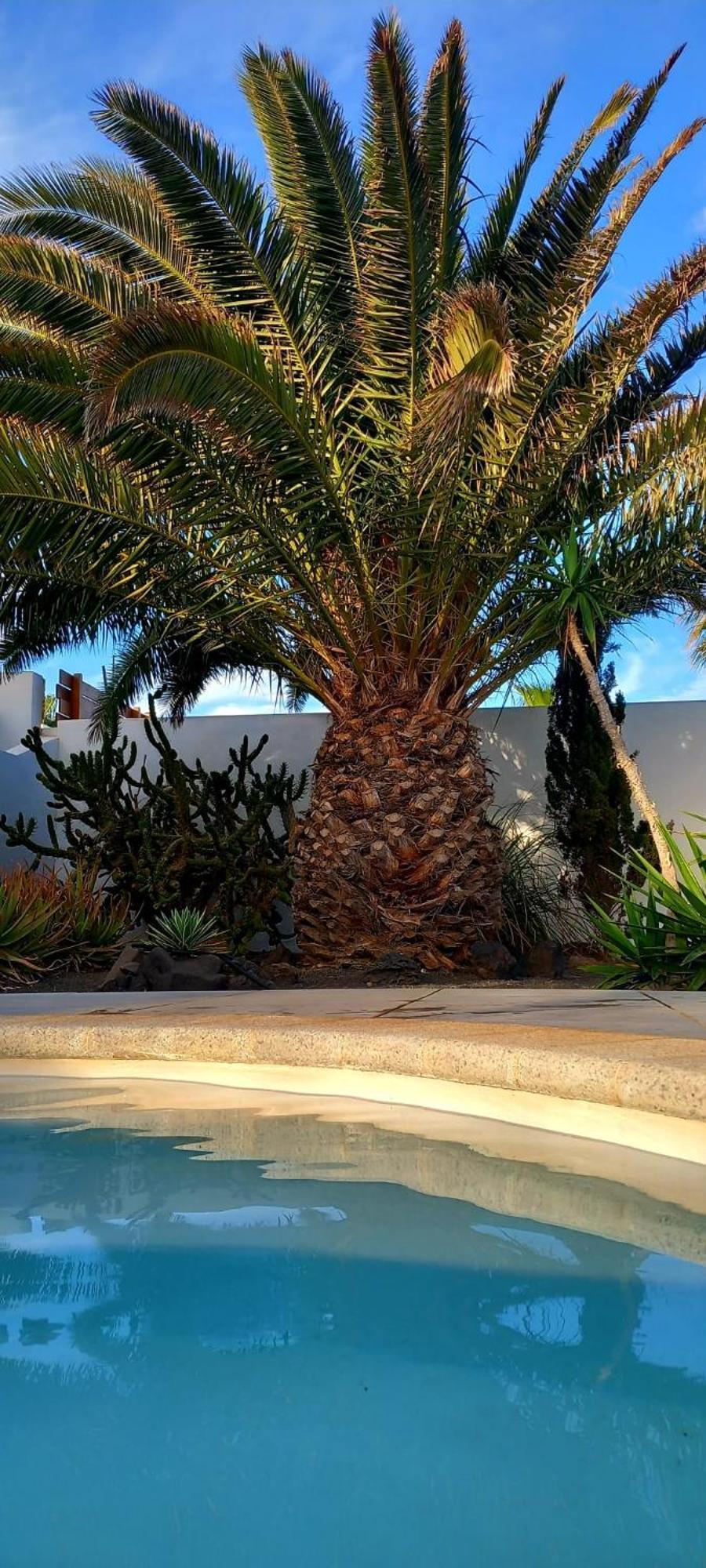 Casa Alizee, Heated Pool, Hot Tub Villa Playa Blanca  Exteriör bild
